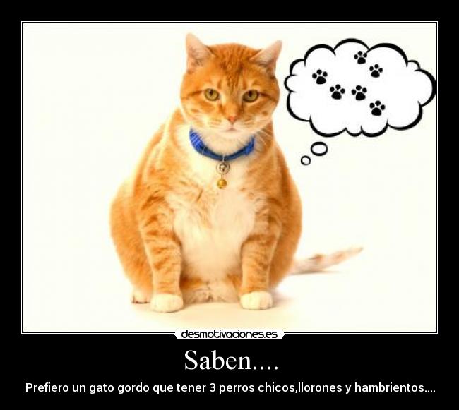 carteles  desmotivaciones