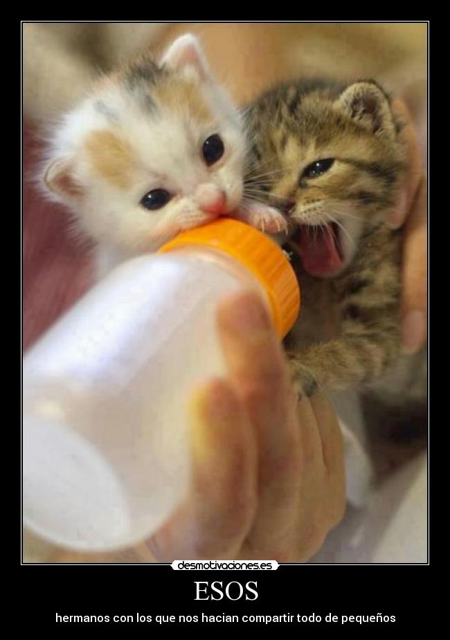 ESOS - hermanos con los que nos hacian compartir todo de pequeños