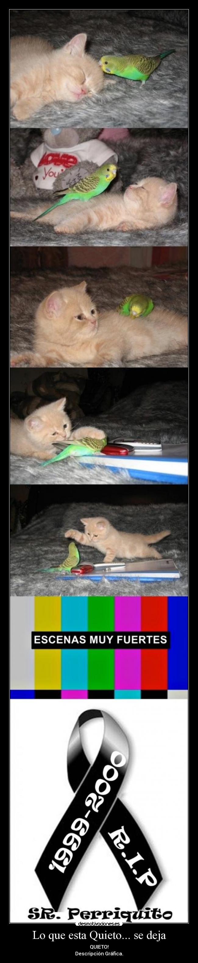 Lo que esta Quieto... se deja - QUIETO!
Descripción Gráfica.