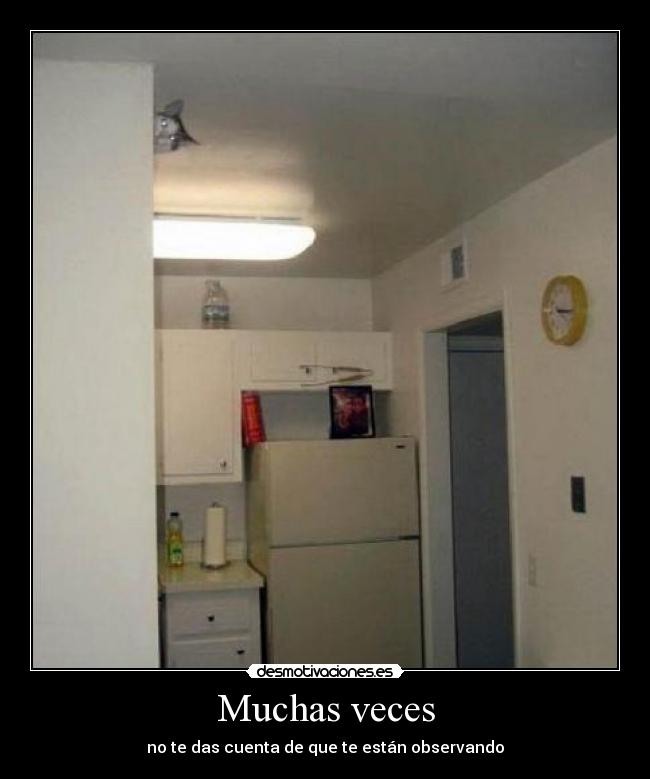 carteles lol desmotivaciones