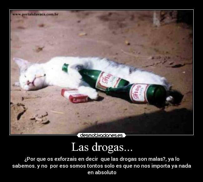 Las drogas... -