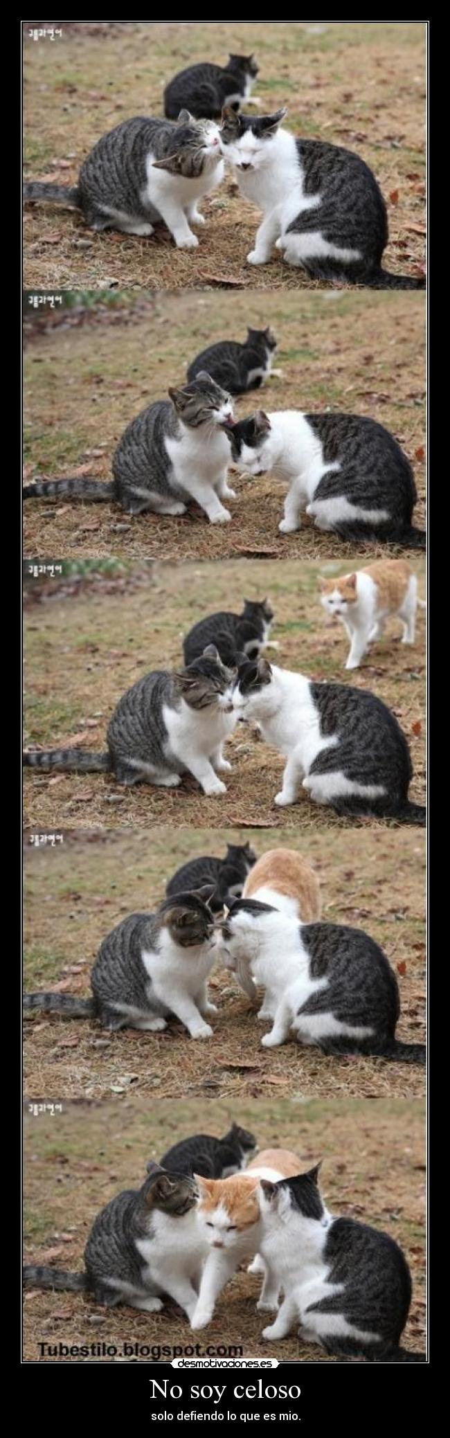 No soy celoso - solo defiendo lo que es mio.