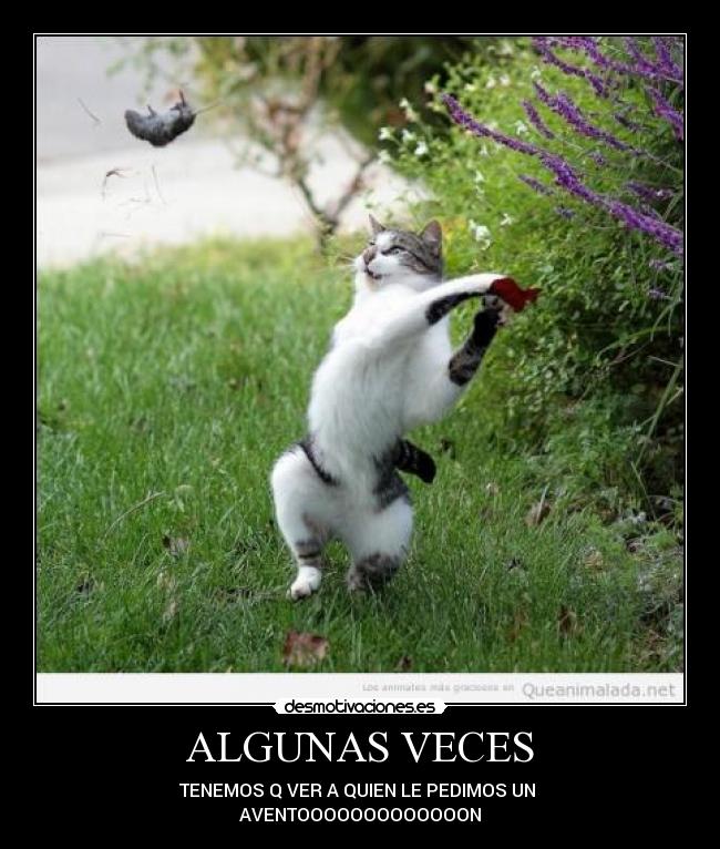 ALGUNAS VECES - TENEMOS Q VER A QUIEN LE PEDIMOS UN 
AVENTOOOOOOOOOOOOON