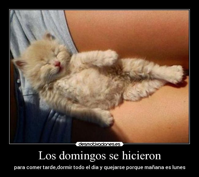 Los domingos se hicieron - 