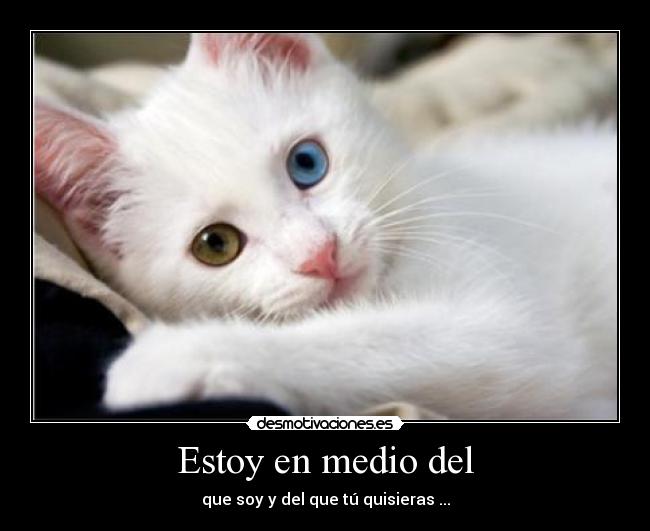 Estoy en medio del - que soy y del que tú quisieras ...