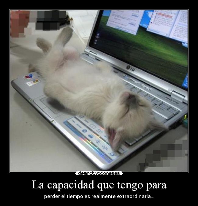 La capacidad que tengo para -