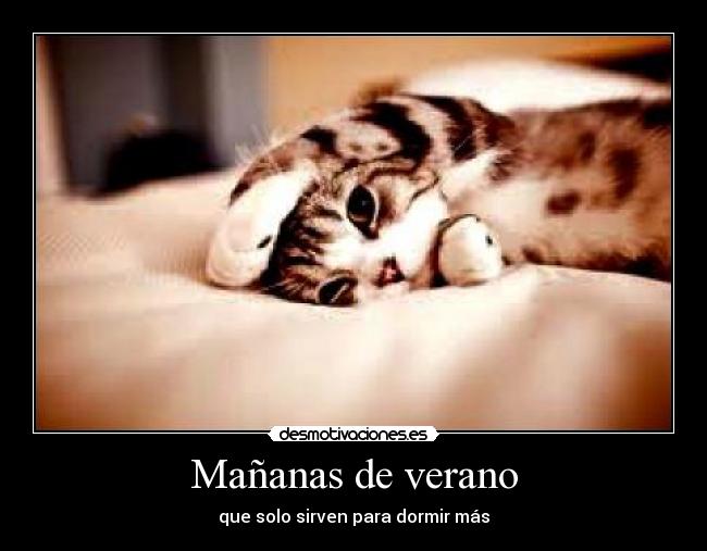 Mañanas de verano - que solo sirven para dormir más