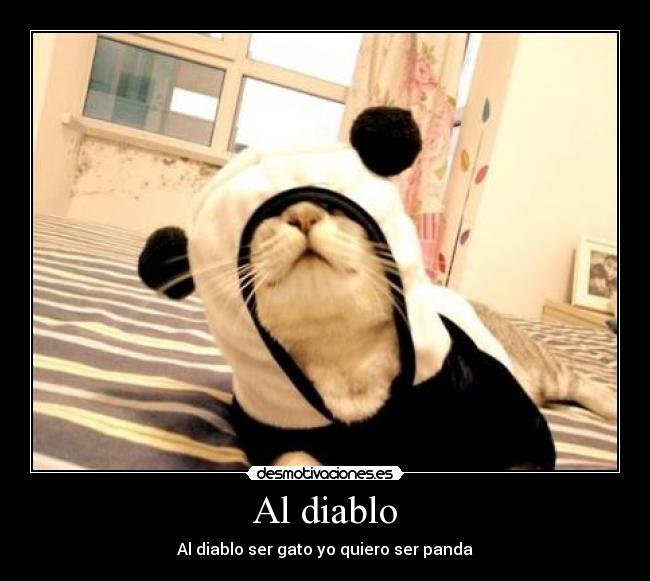 Al diablo - Al diablo ser gato yo quiero ser panda