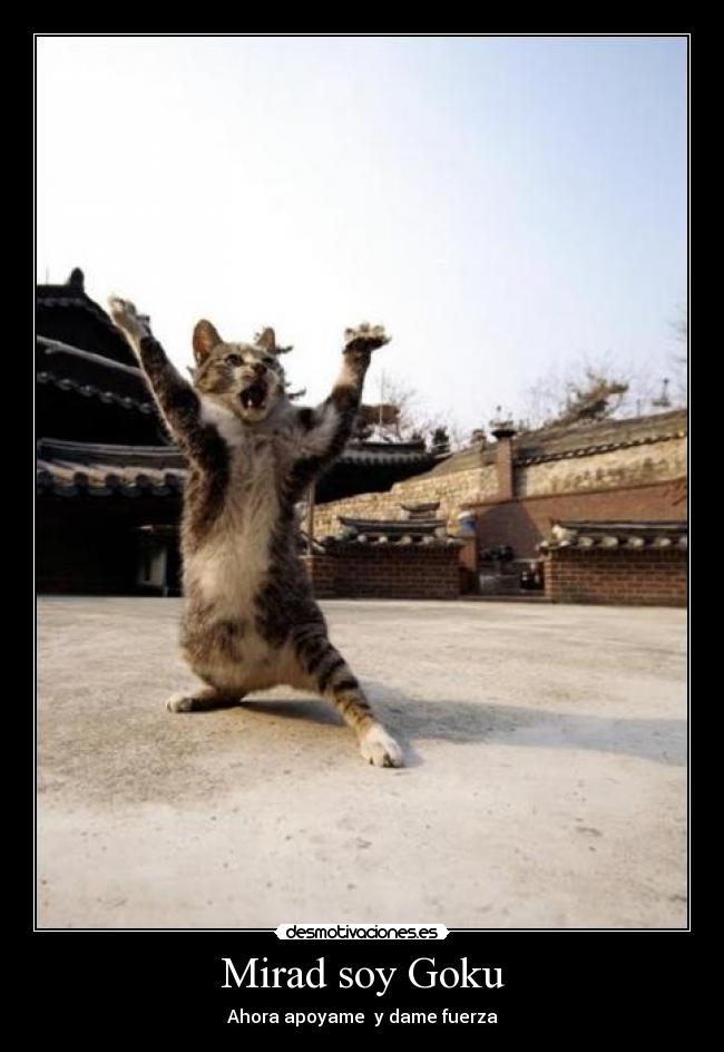 Mirad soy Goku -