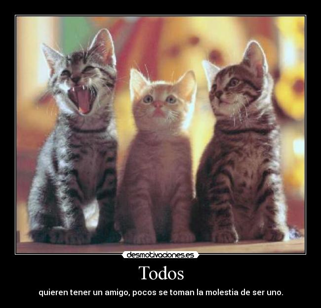 Todos - quieren tener un amigo, pocos se toman la molestia de ser uno.