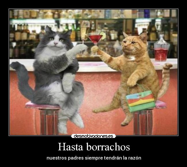 Hasta borrachos -