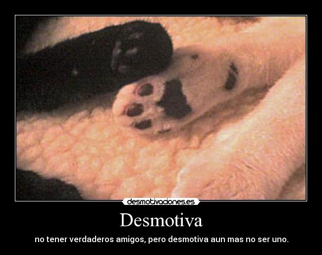 Desmotiva - no tener verdaderos amigos, pero desmotiva aun mas no ser uno.