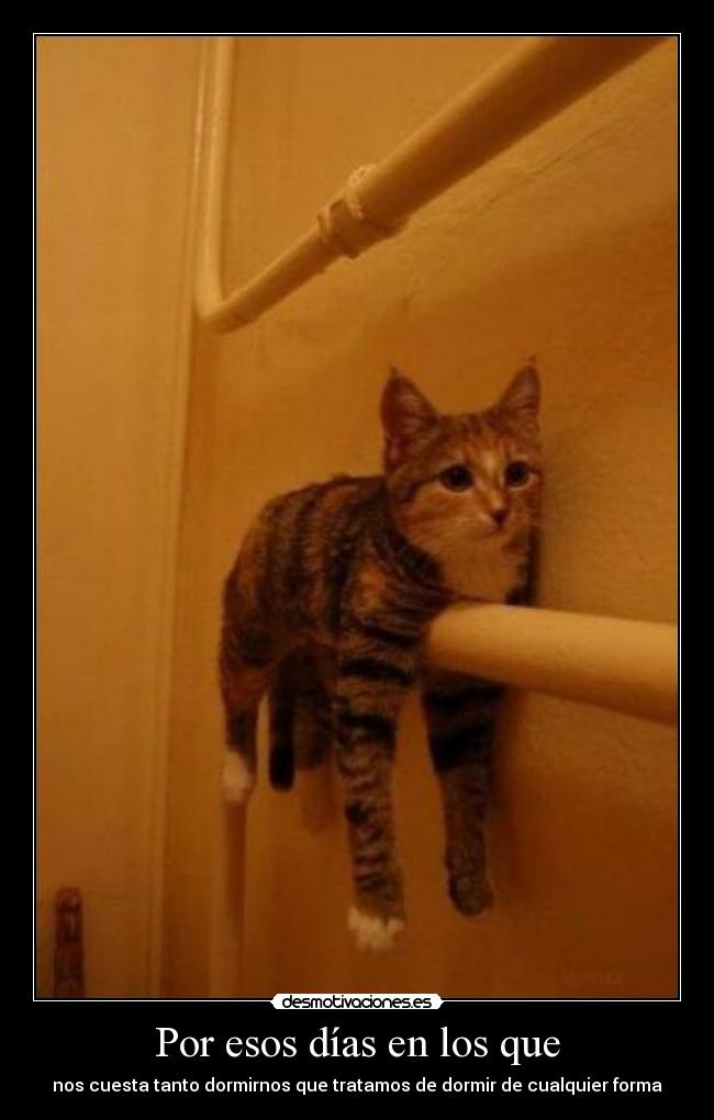 Por esos días en los que - nos cuesta tanto dormirnos que tratamos de dormir de cualquier forma