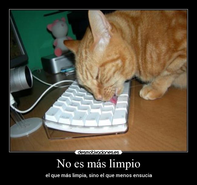 carteles gatoslimpio desmotivaciones