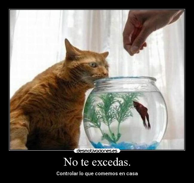 No te excedas. - Controlar lo que comemos en casa