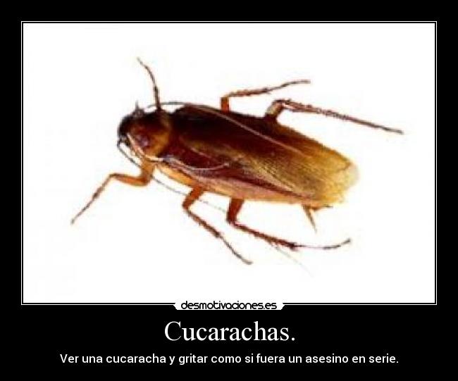 carteles patrivalsan desmotivaciones