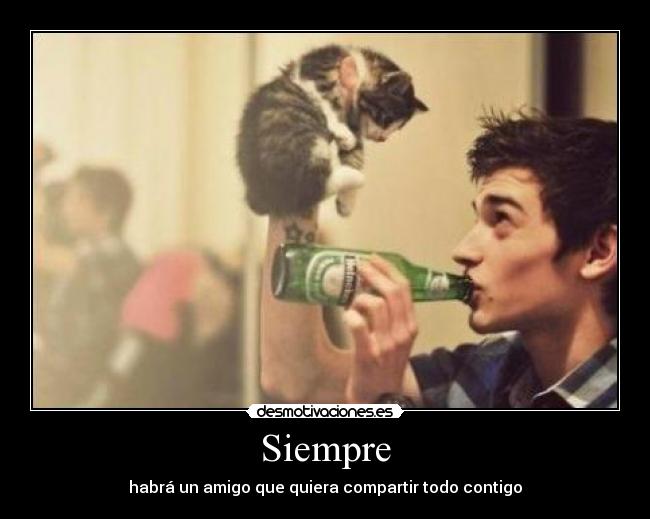 Siempre - habrá un amigo que quiera compartir todo contigo
