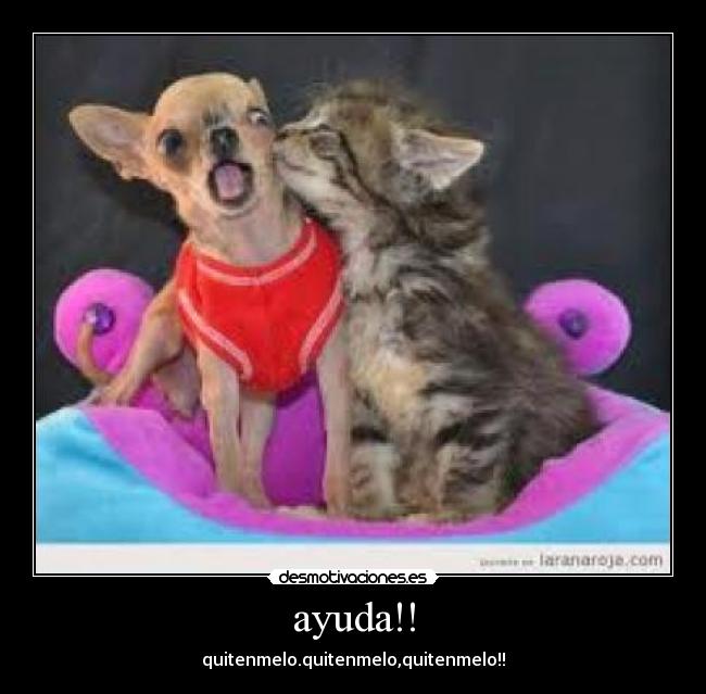 ayuda!! - quitenmelo.quitenmelo,quitenmelo!!