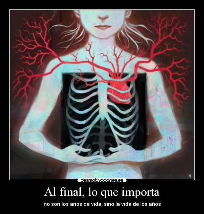 carteles vida laprincesita desmotivaciones