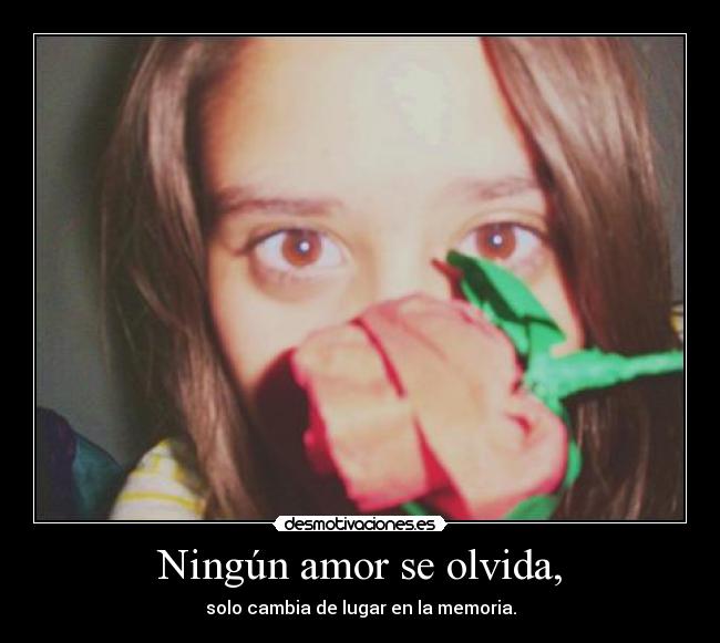Ningún amor se olvida, - solo cambia de lugar en la memoria.