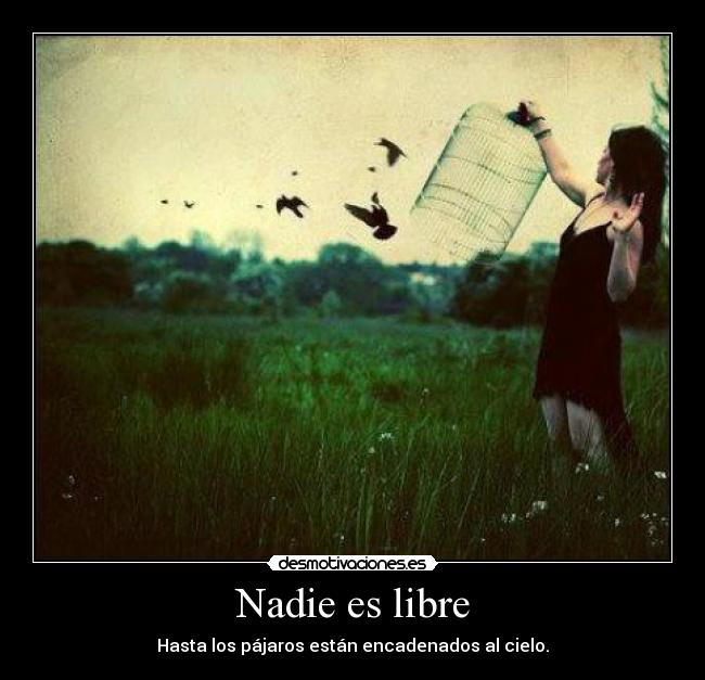 Nadie es libre - Hasta los pájaros están encadenados al cielo.
