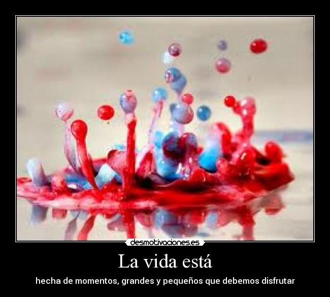 La vida está - hecha de momentos, grandes y pequeños que debemos disfrutar