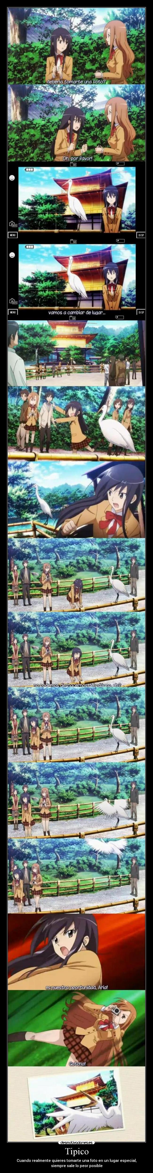 carteles seitokai yakuindomo presidenta estudiantil aves fotos desmotivaciones