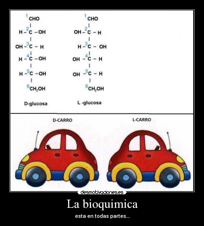 La bioquimica - esta en todas partes...