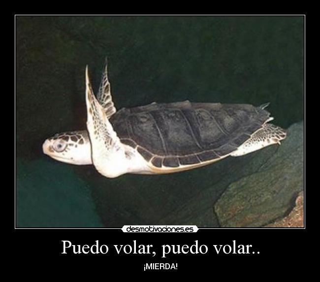 Puedo volar, puedo volar.. - ¡MIERDA!