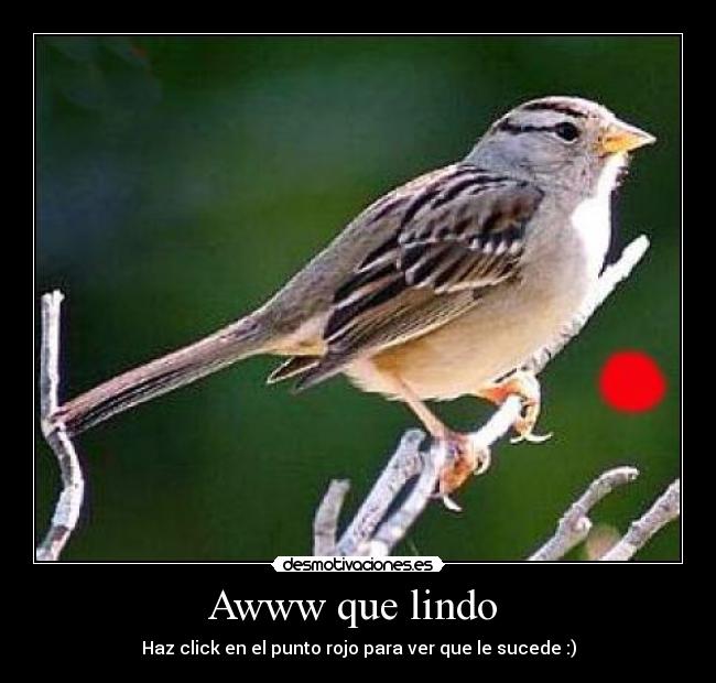 carteles genkai desmotivaciones