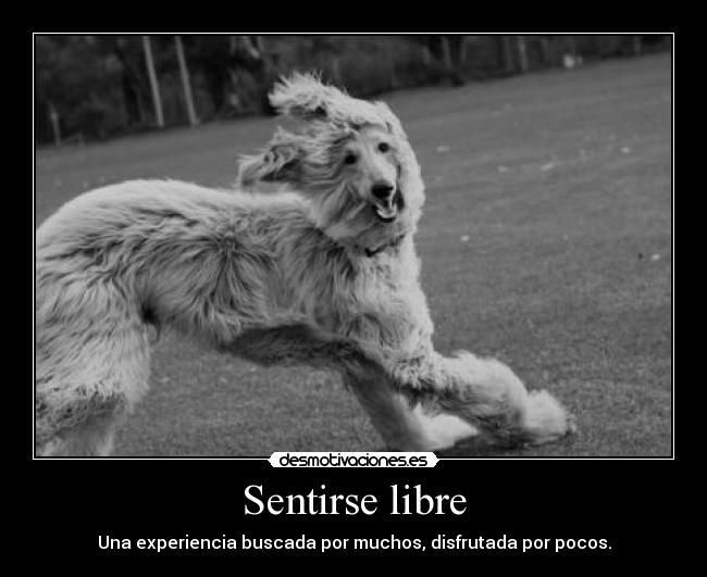 Sentirse libre -