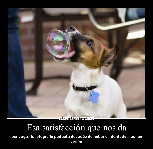 Esa satisfacción que nos da - 
