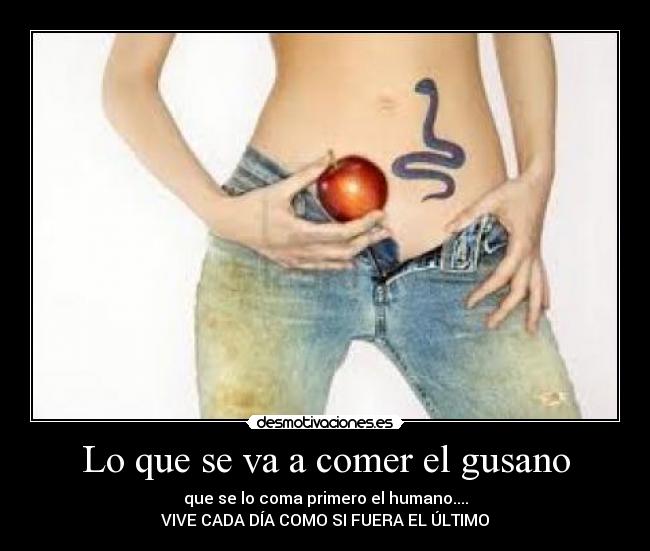 Lo que se va a comer el gusano - 