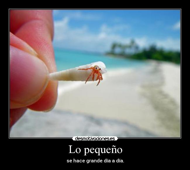 Lo pequeño -