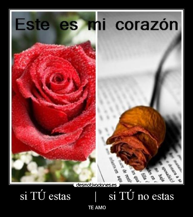 si TÚ estas | si TÚ no estas - ♥TE AMO♥