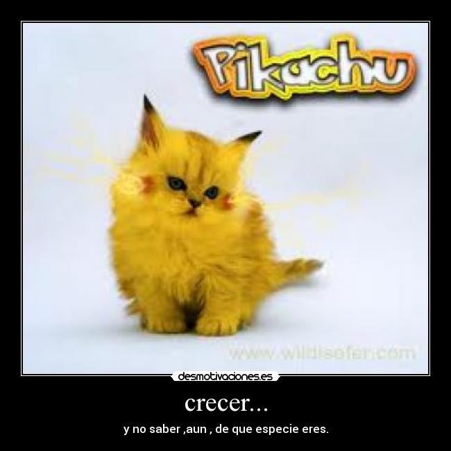 crecer... - 