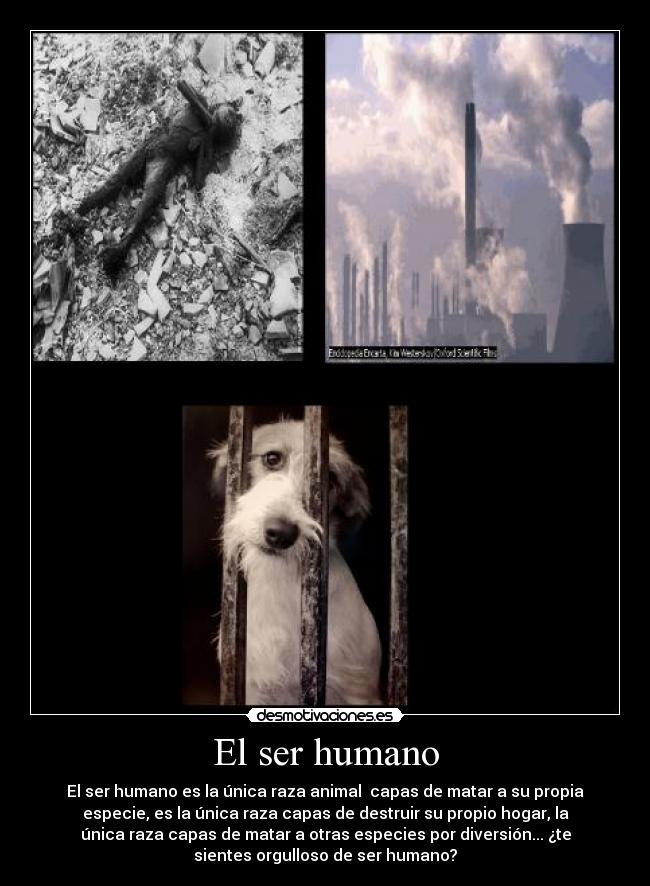 El ser humano - 