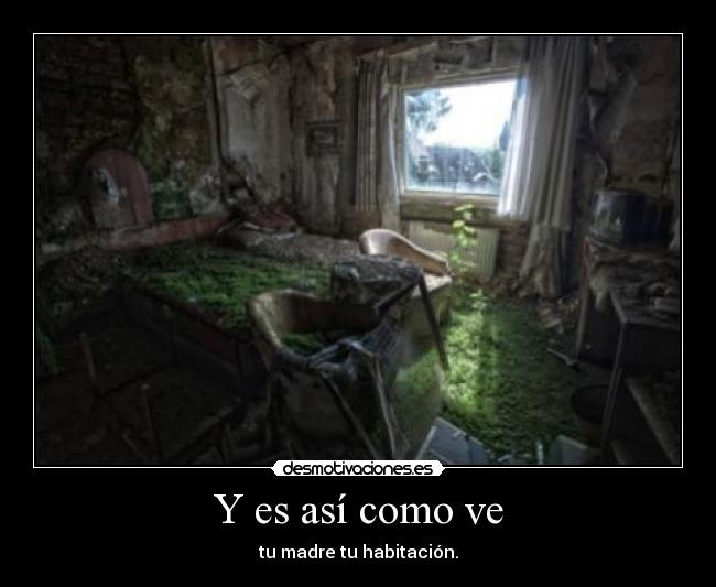 Y es así como ve -