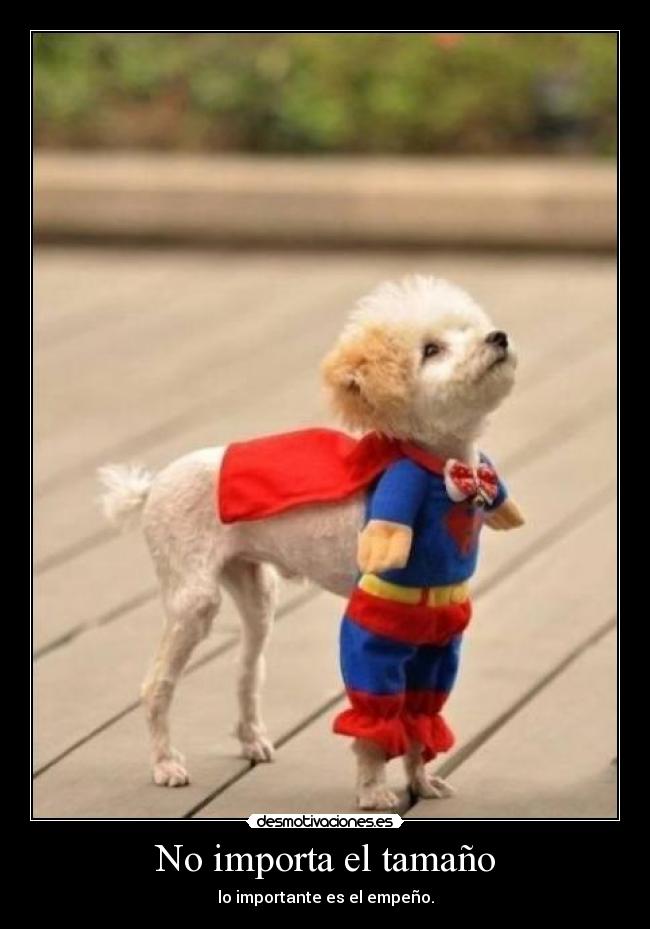 No importa el tamaño - lo importante es el empeño.
