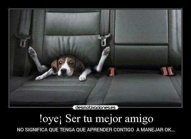 !oye¡ Ser tu mejor amigo - NO SIGNIFICA QUE TENGA QUE APRENDER CONTIGO A MANEJAR OK...