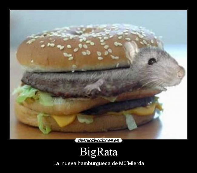 BigRata - La nueva hamburguesa de MCMierda