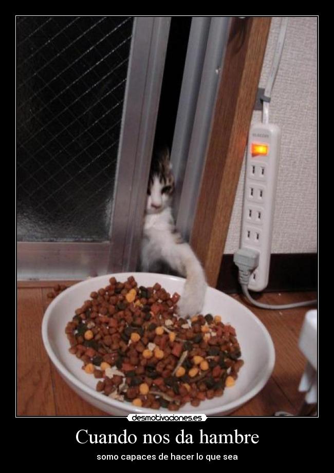 Cuando nos da hambre - somo capaces de hacer lo que sea