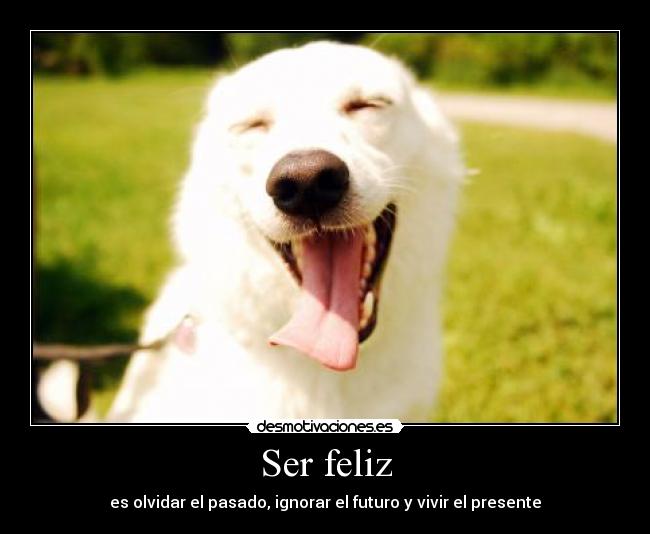 Ser feliz - 