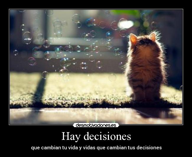 Hay decisiones - 