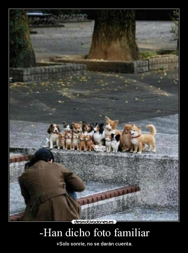 -Han dicho foto familiar - +Solo sonríe, no se darán cuenta.