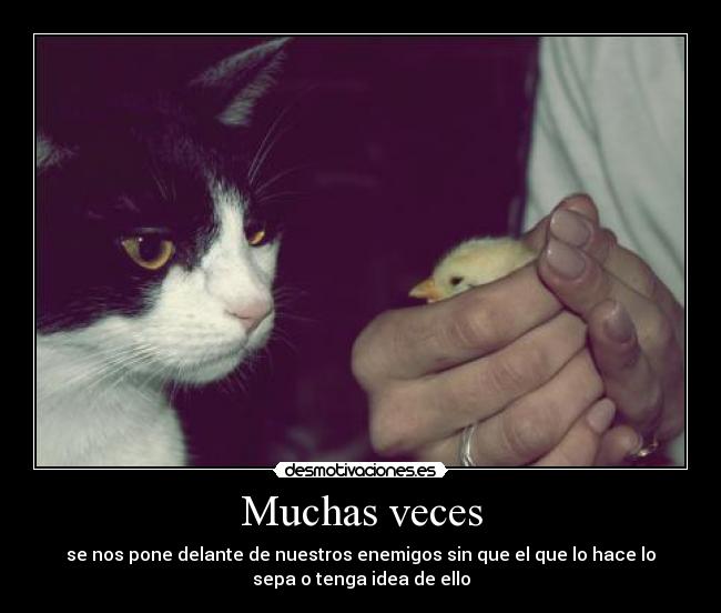 Muchas veces -
