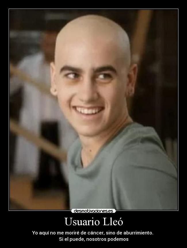 Usuario Lleó -