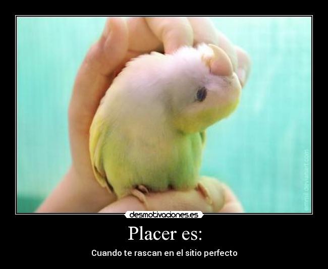 Placer es: - 