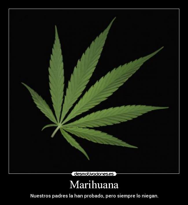 Marihuana -
