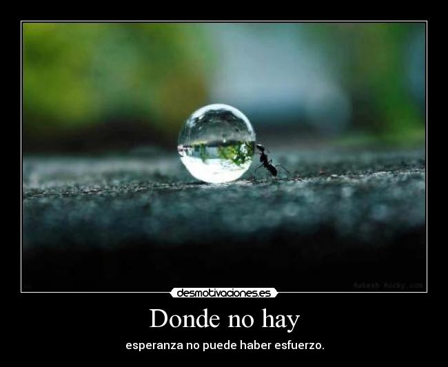 Donde no hay - esperanza no puede haber esfuerzo.